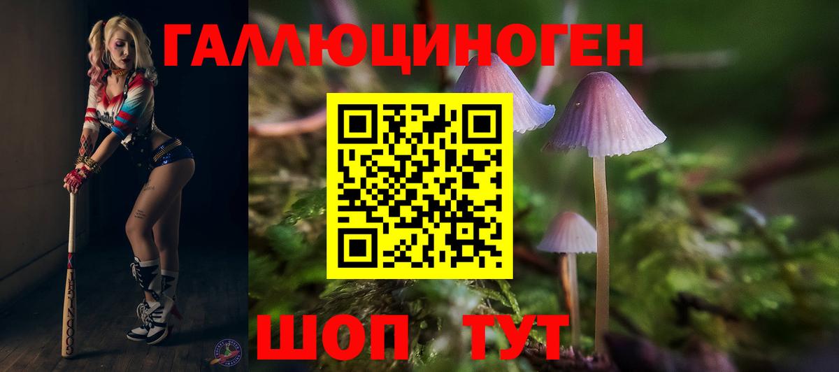 Галлюциногенные грибы Psilocybe  Вход с VPN  Владимир 